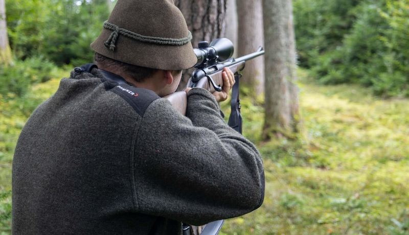 An escaped Bernese mountain dog ran in front of a hunter's shotgun in his hunting ground - shot (symbolic image). (Bild: Scharinger Daniel)