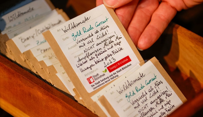 Allerlei Sorten Tomaten finden sich in den Schubladen des alten Karteikastens, der im ...