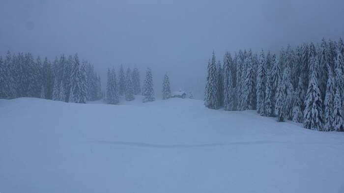 Das Kleinwalsertal präsentierte sich ebenso winterlich...