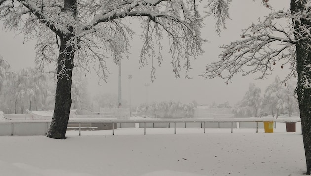 Die Dornbirner Birkenwiese ist ein Winterwonderland - aber derzeit kein Platz zum Fußballspielen. (Bild: Peter Weihs/Kronenzeitung)