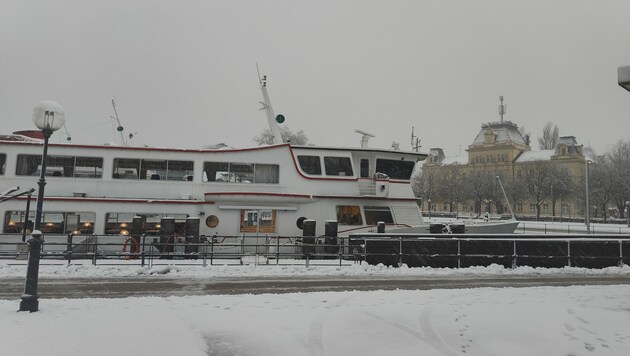 Selbst der auf knapp 400 Meter Seehöhe gelegene Bregenzer Hafen präsentierte sich tiefwinterlich. (Bild: Peter Weihs/Kronenzeitung)