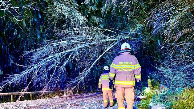 In Elixhausen kümmerten sich die Floriani um Bäume auf der Straße (Bild: Markus Tschepp)