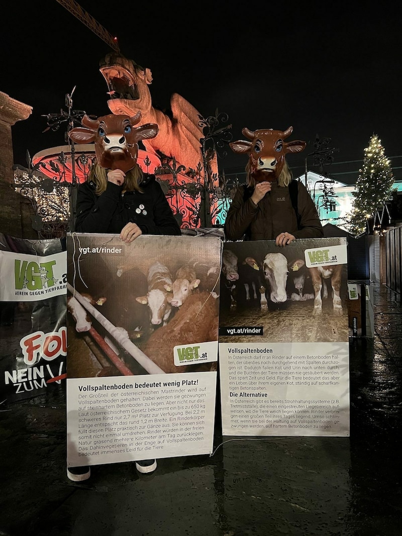 Vor dem Lindwurm versammelten sich 12 Personen, um auf die Zustände in der Rindermast aufmerksam zu machen. (Bild: VGT)