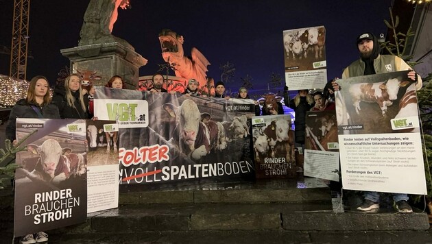14 Personen haben an der Fotoaktion am Christkindlmarkt teilgenommen. (Bild: VGT)