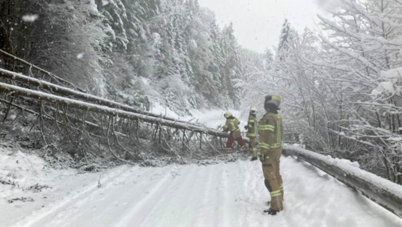 Auch in Tulfes (Bezirk Innsbruck-Land) stürzten Bäume auf die Straße. (Bild: zoom.tirol)