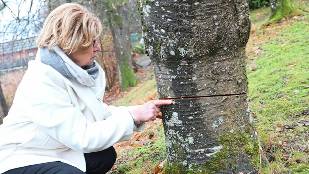 Das Entsetzen bei Barbara Küntzel-Gallin ist groß. (Bild: Uta Rojsek-Wiedergut)