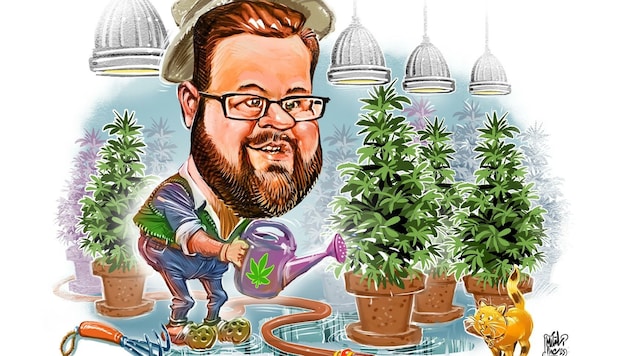 OÖVP-Parteimanager Florian Hiegelsberger mit seiber (imaginierten) Cannabis-Indoorplantage (Bild: Ilic Milan A.)