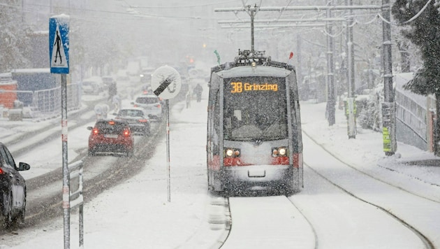 Eingeschneite Straßenbahnen hat der Wiener lange nicht mehr gesehen. (Bild: Klemens Groh)