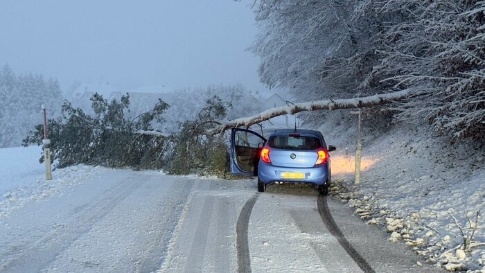 Leichtsinn: Ein Auto fuhr im Bezirk Amstetten unter einem umgestürzten Baum.