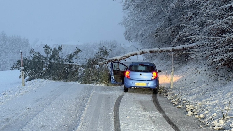 Leichtsinn: Ein Auto fuhr im Bezirk Amstetten unter einem umgestürzten Baum. (Bild: DOKU NÖ)