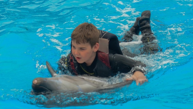 Eine Therapie mit Delfinen in der Türkei brachte Sebastian Linderung. (Bild: Scharinger Daniel)