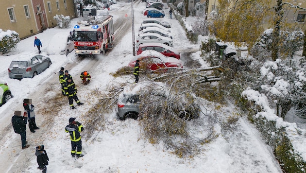 Einer von vielen Einsätzen am Samstag: In Linz stürzte ein Baum auf ein Auto. (Bild: TEAM FOTOKERSCHI / KERSCHBAUMMAYR, Krone KREATIV)