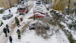 Einer von vielen Einsätzen am Samstag: In Linz stürzte ein Baum auf ein Auto. (Bild: TEAM FOTOKERSCHI / KERSCHBAUMMAYR, Krone KREATIV)