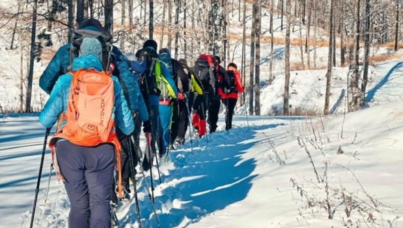 Vom Luscha-Sattel bei Bad Eisenkappel führt der Wanderweg hinauf auf die Topitza. (Bild: Hannes Wallner)