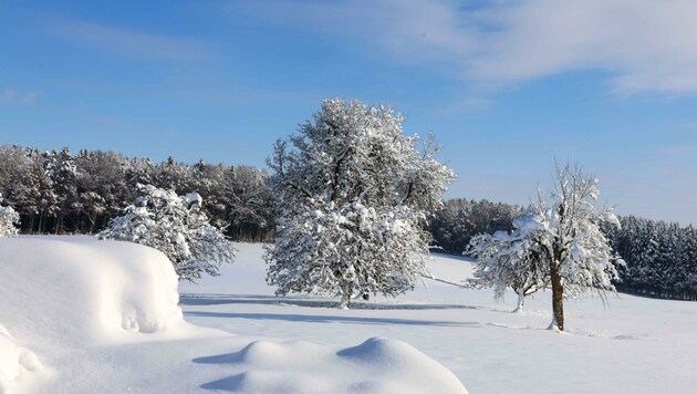 Auch im Innviertel sieht die Landschaft winterbedingt märchenhaft aus (Bild: Scharinger Daniel)