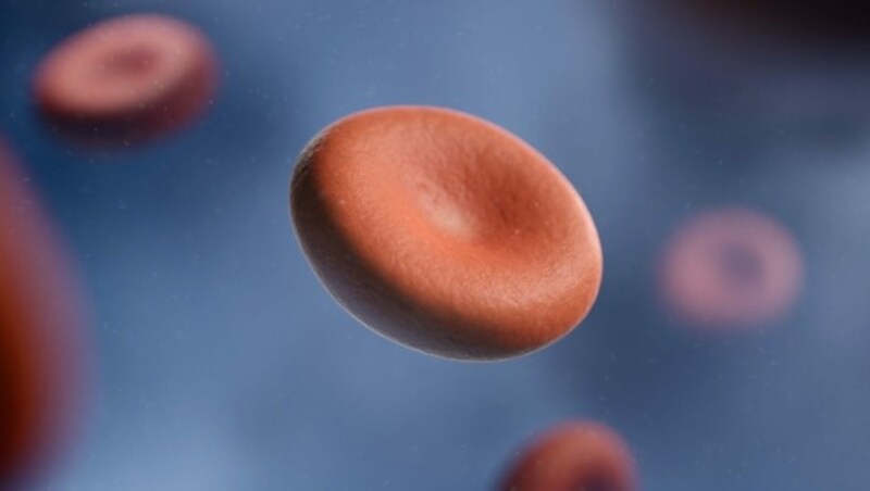 (Bild: Haemo Pharma)