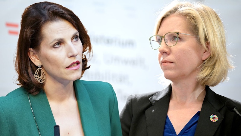 Umweltministerin Gewessler (rechts) hat ihr Vorhaben eigentlich schon längst abgeschickt – Europaminister Edtstadler (links) sieht darin aber keinen Konsens in der Regierung. (Bild: APA, Krone KREATIV)