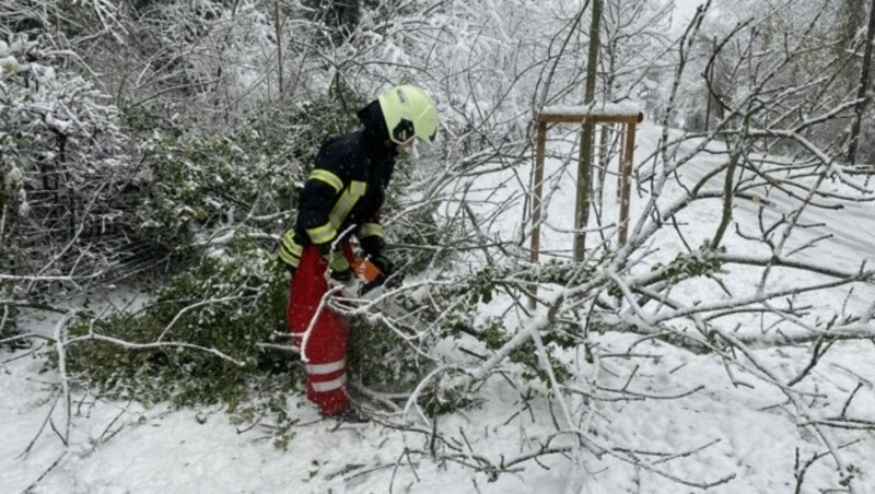 Ein Einsatz aufgrund umgestürtzter Bäume in Kritzendorf (Niederösterreich) (Bild: APA/FRANZ RESPERGER)