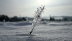 Alle Wetterstationen im Land melden Dienstagmorgen frostige Temperaturen. Ab Mittwoch darf sich Österreich über einige Zentimeter Neuschnee freuen.  (Bild: APA/HELMUT FOHRINGER)