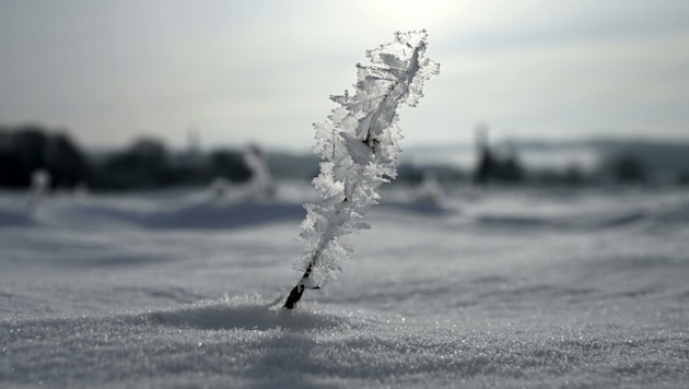 All weather stations in the country will report frosty temperatures on Tuesday morning. From Wednesday, Austria can look forward to a few centimetres of fresh snow. (Bild: APA/HELMUT FOHRINGER)