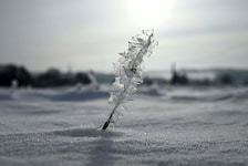 Alle Wetterstationen im Land melden Dienstagmorgen frostige Temperaturen. Ab Mittwoch darf sich Österreich über einige Zentimeter Neuschnee freuen.  (Bild: APA/HELMUT FOHRINGER)