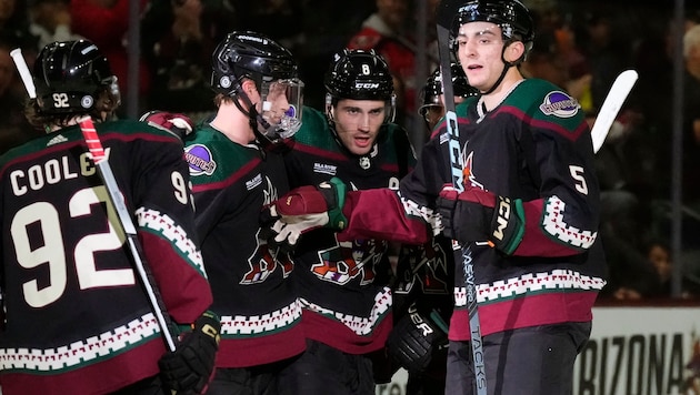 Die Arizona Coyotes sind derzeit nicht zu stoppen.
