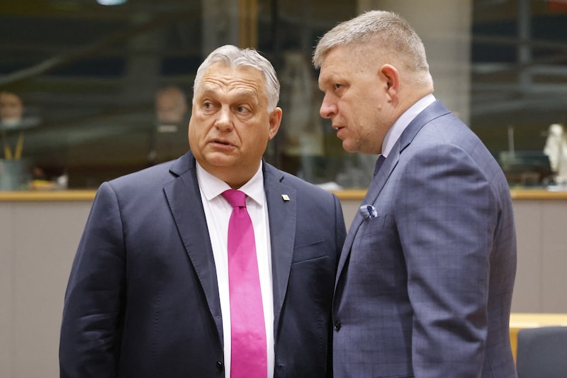 Brüder im Geiste: Orbán und Fico (Bild: AFP)