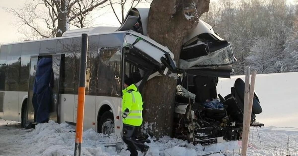 Bus Prallte Gegen Baum - Kind Bei Unfall Im Erzgebirge Ums Leben ...