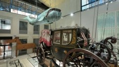 Blick in die große Halle des neuen Wien Museums mit dem berühmten Walfisch Poldi und der Bürgermeister-Kutsche. (Bild: ROLAND SCHLAGER / APA / picturedesk.com)