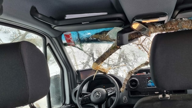 Der Baum durchschlug die Wundschutzscheibe. (Bild: FF Rohbach im Mühlkreis)