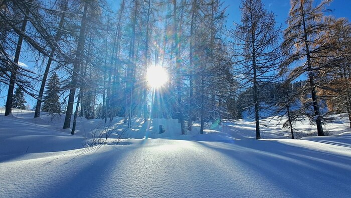 An sonnig-kalten Tagen verwandelt sich das Gebiet in ein wahres Winterwunderland.
