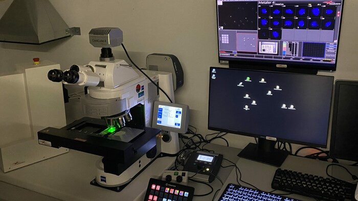 Hochauflösende Geräte unterstützen Präzisionsmedizin bei Neuroblastom (Krebserkrankung des ...