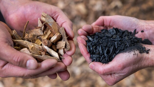 Biomasse soll künftig nicht mehr als erneuerbare Energiequelle gelten. Damit wird die Nutzung laut Gesetz mit jener von Braunkohle gleichgesetzt. (Bild: Jens Büttner / dpa / picturedesk.com)