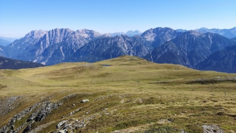 Geht es nach der Bürgerinitiative, soll die Compedal Hochalm ein Naturparadies bleiben. (Bild: BI gegen Windräder auf der Compedal)