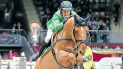 Topreiter Gerfried Puck wird in Salzburg starten.