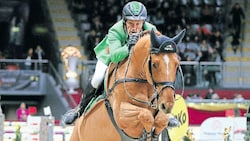Topreiter Gerfried Puck wird in Salzburg starten.