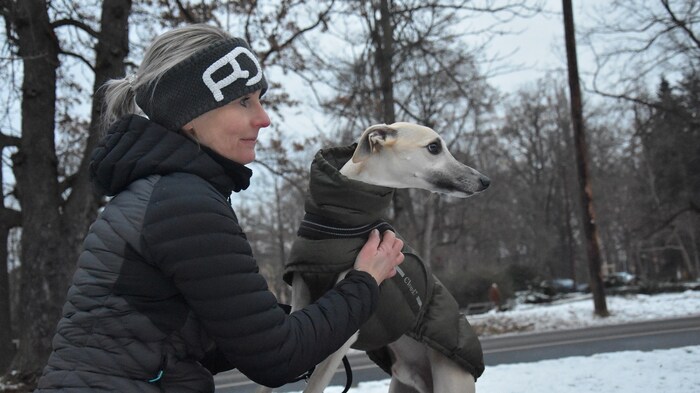 … oder beim täglichen Spazierengehen mit dem Hund.