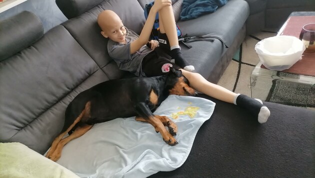 „Buddy“ weicht Dominik daheim nicht von der Seite. Der Hund weiß aber, dass er den kranken Bub nicht ablecken darf. (Bild: zVg)