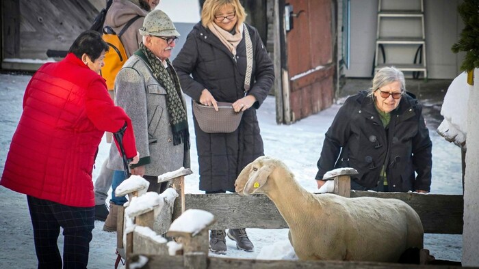 Auch die tierischen Attraktionen begeistern die Besucher.