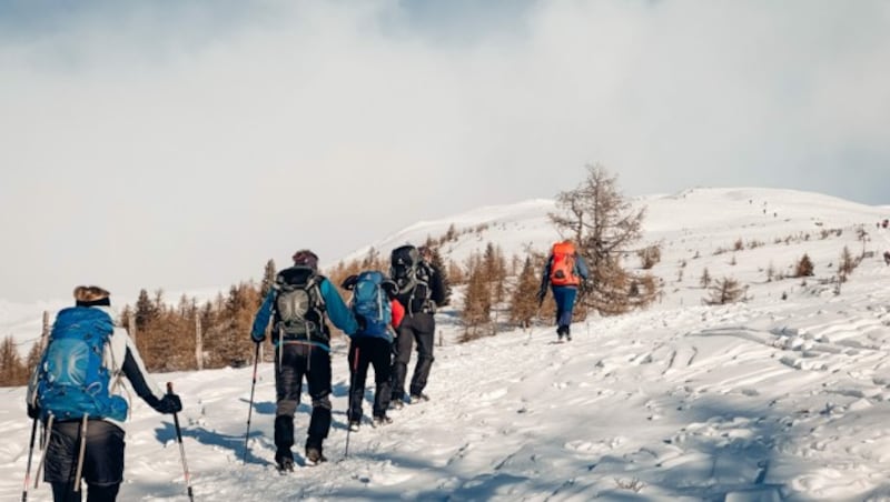 Bergfreunde aus allen Teilen Kärntens wanderten am Sonntag hinauf auf das 2370 Meter hohe Stubeck. (Bild: Hannes Wallner)