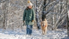 Gassirunden gehören im Winter genauso zum Alltag eines Hundehalters wie zu jeder anderen Jahreszeit auch. (Bild: stock.adobe.com - tan4ikk)