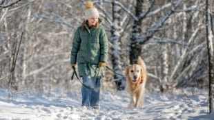 Gassirunden gehören im Winter genauso zum Alltag eines Hundehalters wie zu jeder anderen Jahreszeit auch. (Bild: stock.adobe.com - tan4ikk)