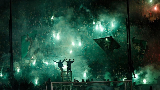 Fans von Tabellenführer Panathinaikos Athen. (Bild: APA/AFP/SOOC/Alexandros Michailidis)