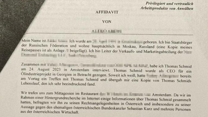 Der „Krone“ wurden eidesstattliche Erklärungen zweier Russen zugespielt, die mit Schmid ein ...