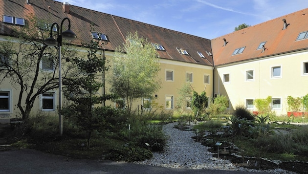 Blick in den Park im Innenhof des Biologiezentrums (Bild: Kurt Groh)