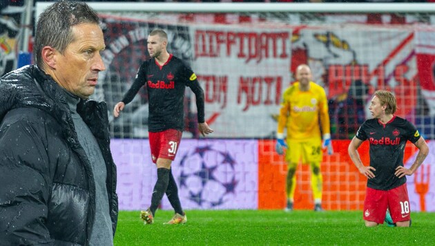 Roger Schmidt (li.) lobt Salzburgs Weg. (Bild: GEPA pictures)