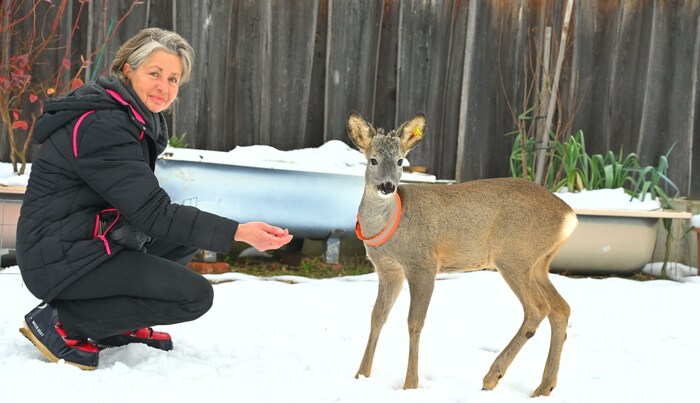 Maria Mühlparzer pflegt Moritz seit dem Sommer. Der junge Rehbock ist mittlerweile fast blind.