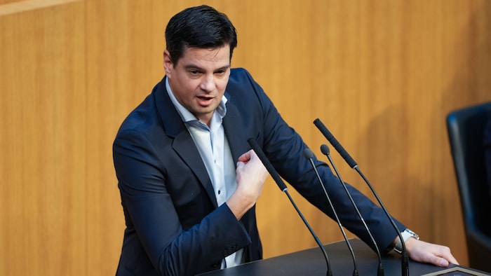 FPÖ-Sicherheitssprecher Hannes Amesbauer
