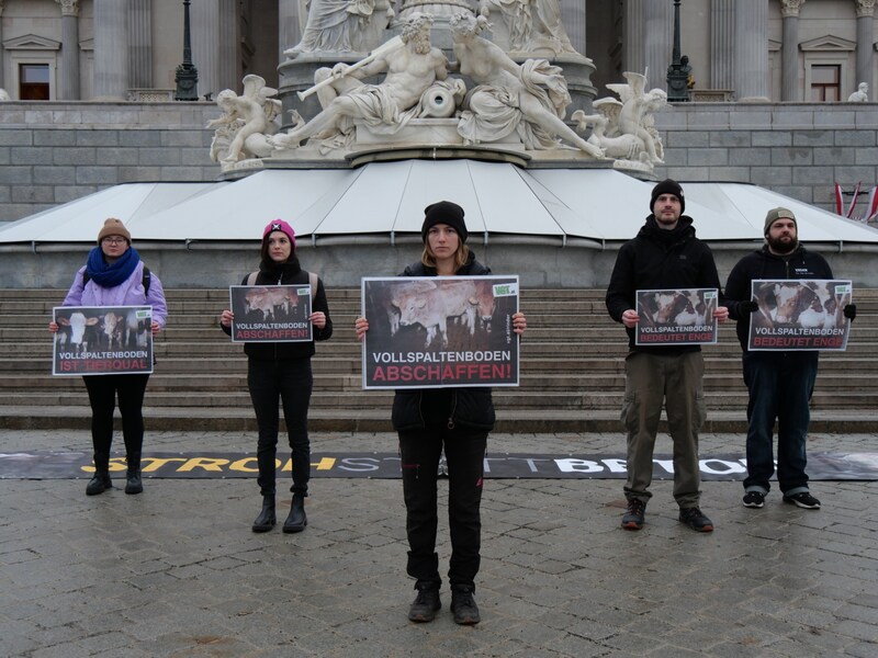 Vollspaltenboden abschaffen! Die Aktivisten des VGT protestieren vor dem Parlament.  (Bild: VGT.at)