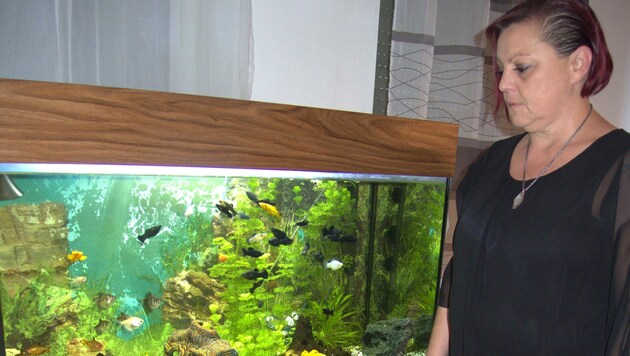 Sandra Schraml (44) vor ihrem Aquarium, drei Tiere überlebten die Stromabschaltung nicht. (Bild: zVg)